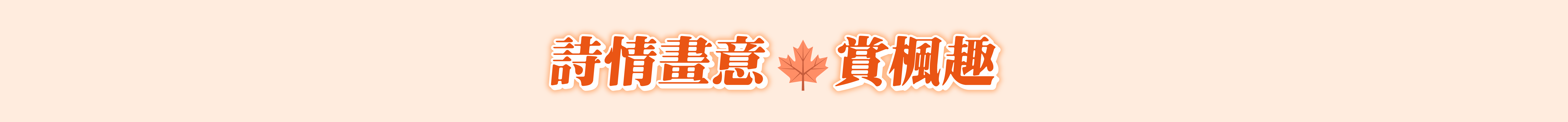 這是一張圖片